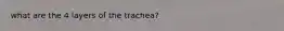 what are the 4 layers of the trachea?