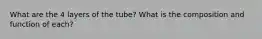 What are the 4 layers of the tube? What is the composition and function of each?