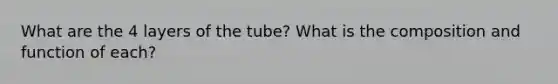 What are the 4 layers of the tube? What is the composition and function of each?