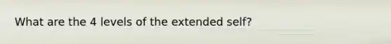 What are the 4 levels of the extended self?
