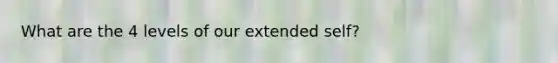 What are the 4 levels of our extended self?