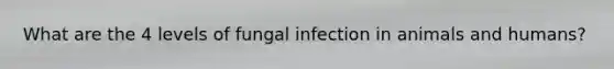 What are the 4 levels of fungal infection in animals and humans?