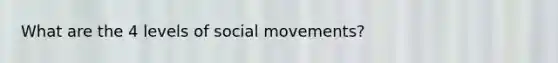 What are the 4 levels of social movements?