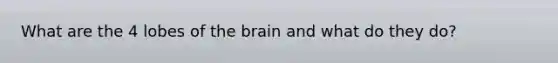 What are the 4 lobes of the brain and what do they do?