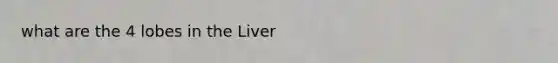 what are the 4 lobes in the Liver