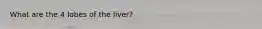 What are the 4 lobes of the liver?