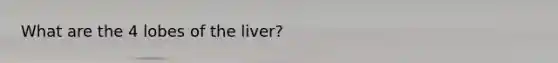 What are the 4 lobes of the liver?