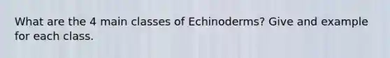 What are the 4 main classes of Echinoderms? Give and example for each class.