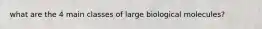 what are the 4 main classes of large biological molecules?