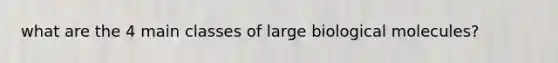 what are the 4 main classes of large biological molecules?