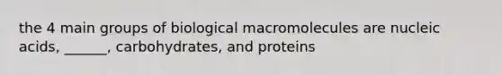 the 4 main groups of biological macromolecules are nucleic acids, ______, carbohydrates, and proteins