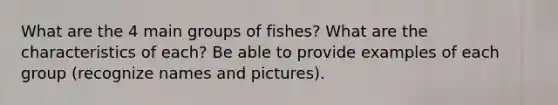 What are the 4 main groups of fishes? What are the characteristics of each? Be able to provide examples of each group (recognize names and pictures).