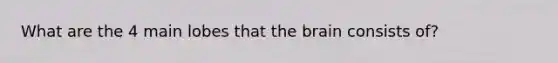 What are the 4 main lobes that the brain consists of?