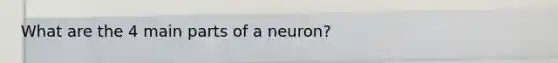 What are the 4 main parts of a neuron?