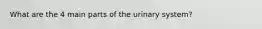 What are the 4 main parts of the urinary system?