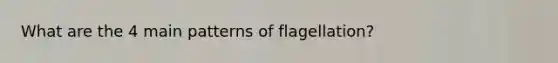 What are the 4 main patterns of flagellation?