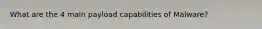 What are the 4 main payload capabilities of Malware?