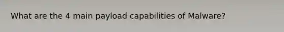 What are the 4 main payload capabilities of Malware?