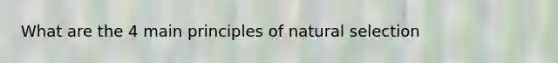 What are the 4 main principles of natural selection