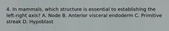 4. In mammals, which structure is essential to establishing the left-right axis? A. Node B. Anterior visceral endoderm C. Primitive streak D. Hypoblast