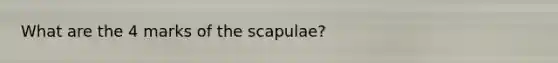 What are the 4 marks of the scapulae?