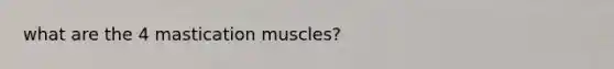 what are the 4 mastication muscles?