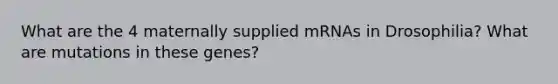 What are the 4 maternally supplied mRNAs in Drosophilia? What are mutations in these genes?