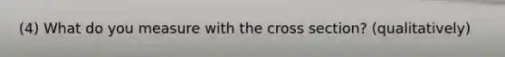 (4) What do you measure with the cross section? (qualitatively)