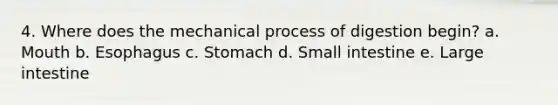 4. Where does the mechanical process of digestion begin? a. Mouth b. Esophagus c. Stomach d. Small intestine e. Large intestine