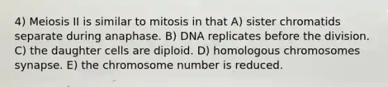 4) Meiosis II is similar to mitosis in that A) sister chromatids separate during anaphase. B) DNA replicates before the division. C) the daughter cells are diploid. D) homologous chromosomes synapse. E) the chromosome number is reduced.