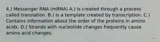 4.) Messenger RNA (mRNA) A.) Is created through a process called translation. B.) Is a template created by transcription. C.) Contains information about the order of the proteins in amino acids. D.) Strands with nucleotide changes frequently cause amino acid changes.