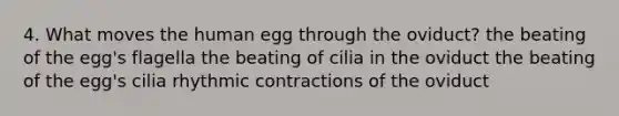 4. What moves the human egg through the oviduct? the beating of the egg's flagella the beating of cilia in the oviduct the beating of the egg's cilia rhythmic contractions of the oviduct