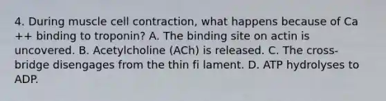 4. During muscle cell contraction, what happens because of Ca ++ binding to troponin? A. The binding site on actin is uncovered. B. Acetylcholine (ACh) is released. C. The cross-bridge disengages from the thin fi lament. D. ATP hydrolyses to ADP.