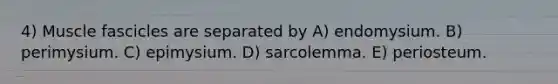 4) Muscle fascicles are separated by A) endomysium. B) perimysium. C) epimysium. D) sarcolemma. E) periosteum.
