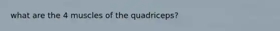 what are the 4 muscles of the quadriceps?