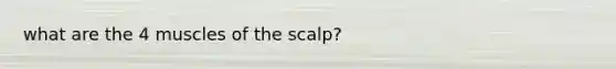 what are the 4 muscles of the scalp?