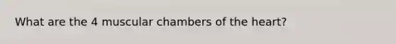 What are the 4 muscular chambers of <a href='https://www.questionai.com/knowledge/kya8ocqc6o-the-heart' class='anchor-knowledge'>the heart</a>?