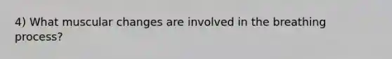 4) What muscular changes are involved in the breathing process?