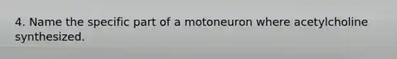 4. Name the specific part of a motoneuron where acetylcholine synthesized.