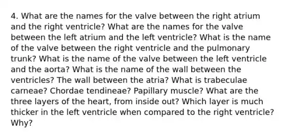 4. What are the names for the valve between the right atrium and the right ventricle? What are the names for the valve between the left atrium and the left ventricle? What is the name of the valve between the right ventricle and the pulmonary trunk? What is the name of the valve between the left ventricle and the aorta? What is the name of the wall between the ventricles? The wall between the atria? What is trabeculae carneae? Chordae tendineae? Papillary muscle? What are the three layers of the heart, from inside out? Which layer is much thicker in the left ventricle when compared to the right ventricle? Why?