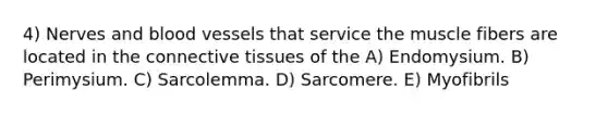 4) Nerves and blood vessels that service the muscle fibers are located in the connective tissues of the A) Endomysium. B) Perimysium. C) Sarcolemma. D) Sarcomere. E) Myofibrils