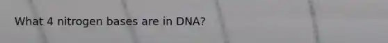 What 4 nitrogen bases are in DNA?