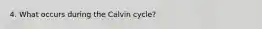 4. What occurs during the Calvin cycle?