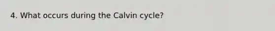 4. What occurs during the Calvin cycle?