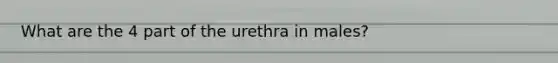 What are the 4 part of the urethra in males?