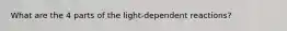 What are the 4 parts of the light-dependent reactions?