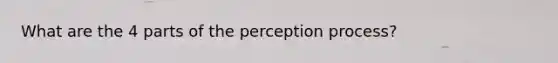 What are the 4 parts of the perception process?