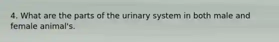 4. What are the parts of the urinary system in both male and female animal's.