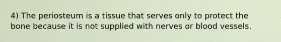4) The periosteum is a tissue that serves only to protect the bone because it is not supplied with nerves or <a href='https://www.questionai.com/knowledge/kZJ3mNKN7P-blood-vessels' class='anchor-knowledge'>blood vessels</a>.