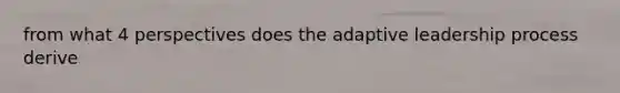 from what 4 perspectives does the adaptive leadership process derive